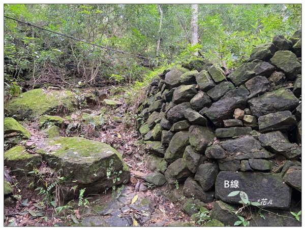 大克山 南稜線A上B下 (卓蘭最高峰)2825499