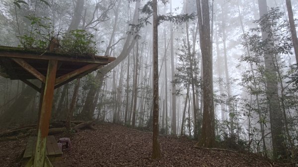 溪頭鳳凰山2759189