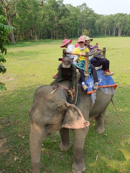 尼泊爾奇旺國家公園4天三夜2788910
