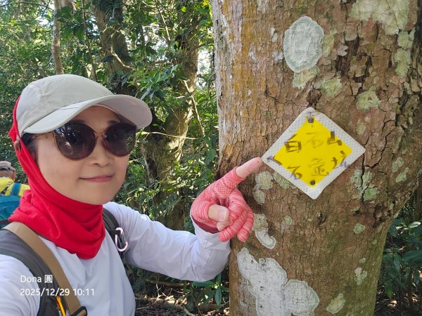 20251229石龜坑山上白石山下白石埤O走+阿姆坪2976665