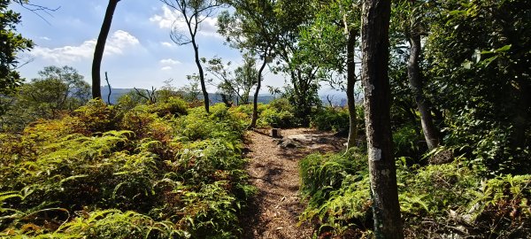 2025/09/13_貴子坑親山步道2884148