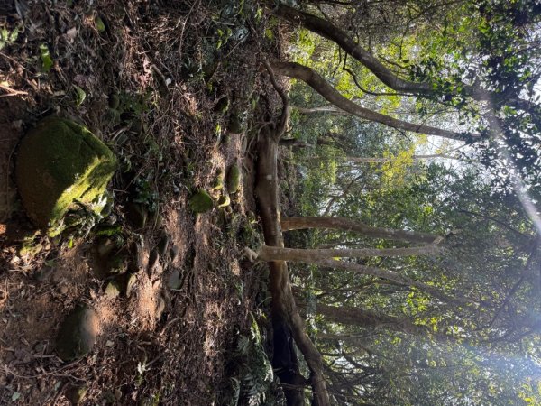 20260221 飛沙新路3003423