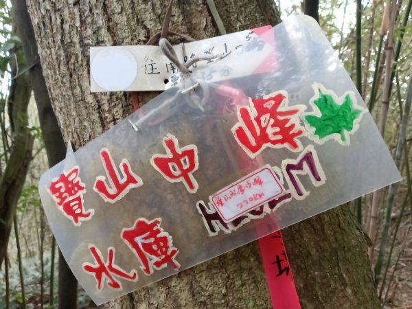 寶山鄉寶山水庫(寶山東峰+中峰+中西峰+西峰+西北峰)+尖山O型3012536