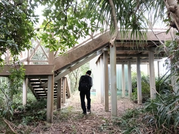 基隆市三層山+湳子大崙+淡基橫斷古道+面桶寮土地公2982254