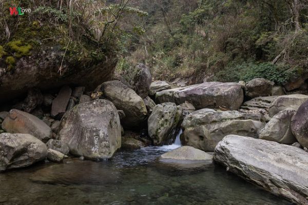 WL 愛旅行【加里山】275258