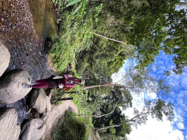 桃園-高遶溪天空吊橋-高遶溪瀑布-高遶溪古圳步道2941987