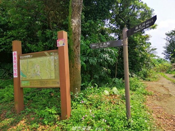【基隆。仁愛】小百岳集起來。編號7小百岳~紅淡山步道1346376