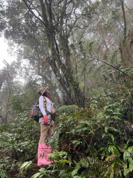 烏來大桶山.大桶山東峰.四崁水山2450706