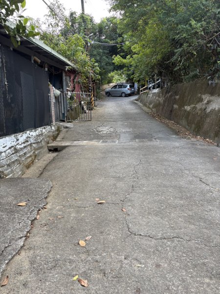 20251109棚集山步道2935224