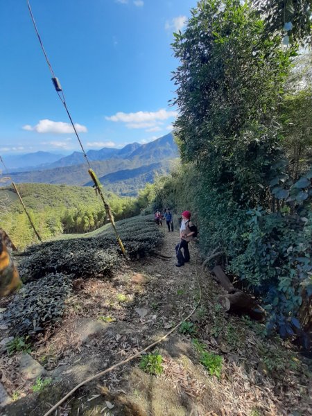 鹿谷小半天6峰連走1269697