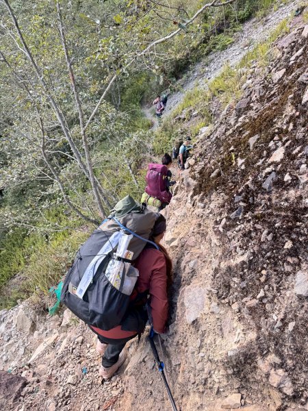 2025.11.30 西巒大山2952289