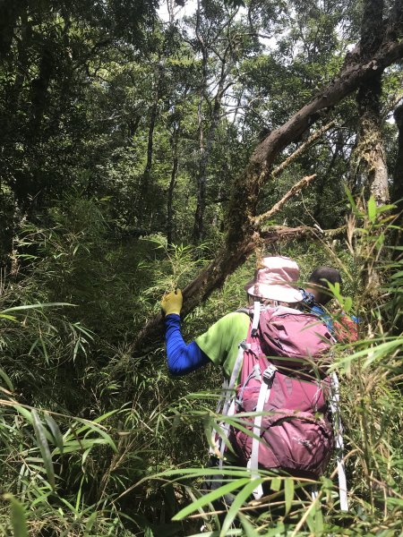 哈盆古道-波露南山-波露山O型走1475879