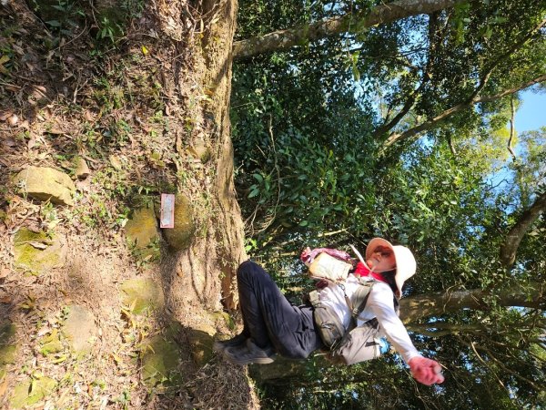 20260119飛沙縱走東段加碼9連峰大O走2988921