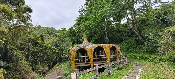 2025/04/13_大窩文史生態區步道2760231