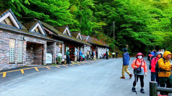 南九州－屋久島繩文杉步道3063467