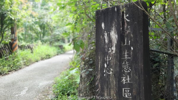 《台中》優美稜線｜橫嶺山自然步道（大雪山社區南登山口）202505312800136