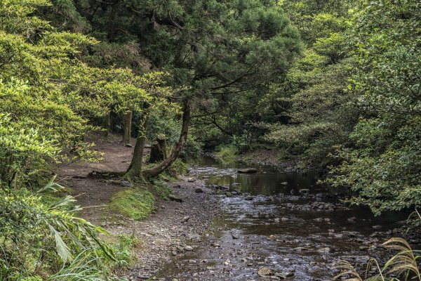 2021-4-1坪溪古道1411219