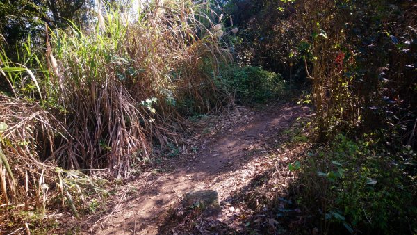 出關古道關刀山步道1584797