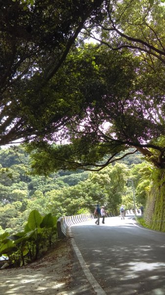 半嶺步道→陽峰古道→陽明公園→前山公園1028473