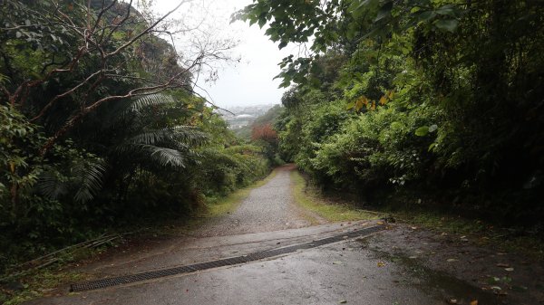 佐倉步道登山健行趣(步道)2018405