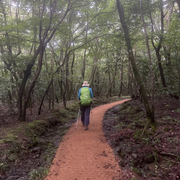 1140811 KR 漢拏山杜鵑花田避難所-紗羅岳觀景臺2860445
