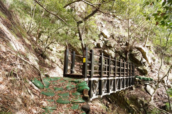 台中 和平 東卯山2674529