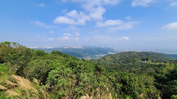 小百岳大棟山405m.青龍嶺.三角埔頂山.鳶山岩2059831