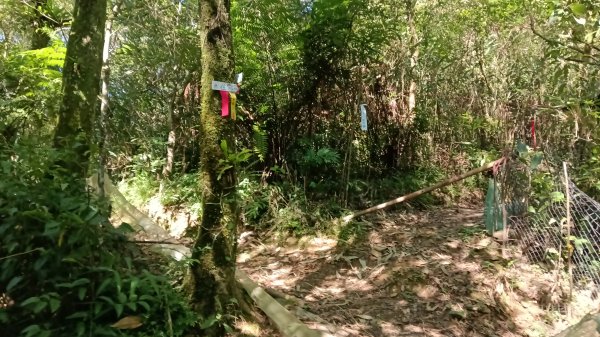 雙溪區灣潭南勢坑古道大河戀3084783