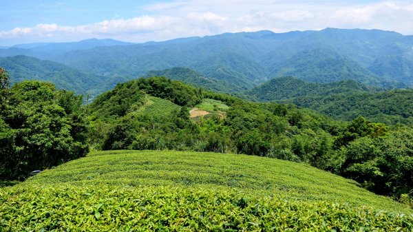 石碇大崙,人頭面山,獅公髻尾山