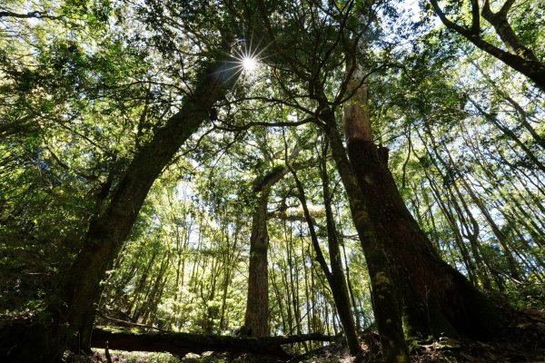 台中 和平 馬崙山2796977