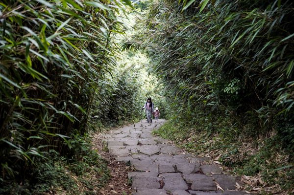 台北大縱走第二段｜大屯山連峰步道3058339