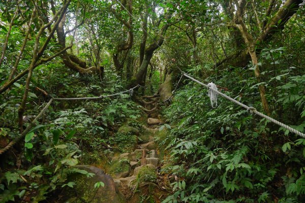 破碎的里龍山步道497595