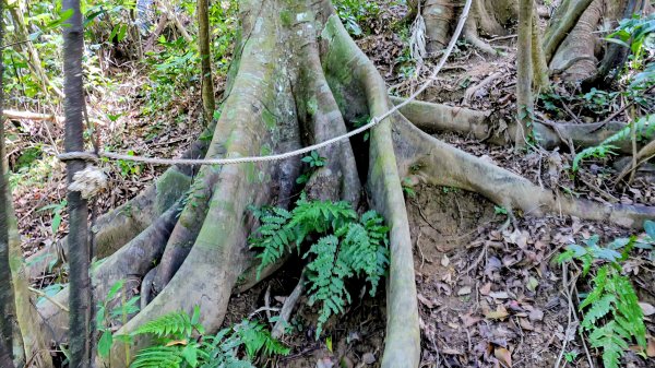 梅竹蹊山,麻竹坑山,苕谷瀑布,蝙蝠山2883314