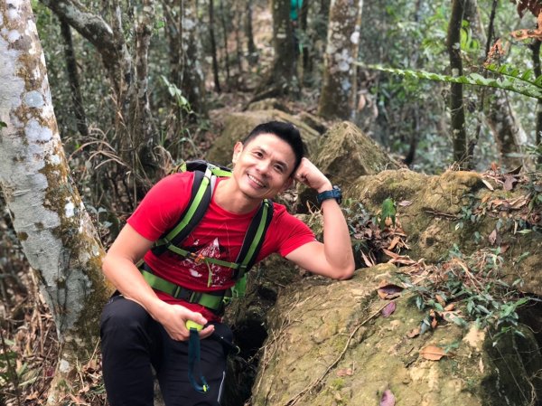 九份二山【在滿山雪白梅花中遇到翠綠樹蛙】506247