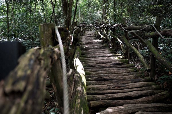 大坑1號步道2865258