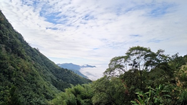 杜仔湖雙子山240367