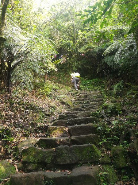 顫抖你的雙腿吧!!七星山主峰登坡記