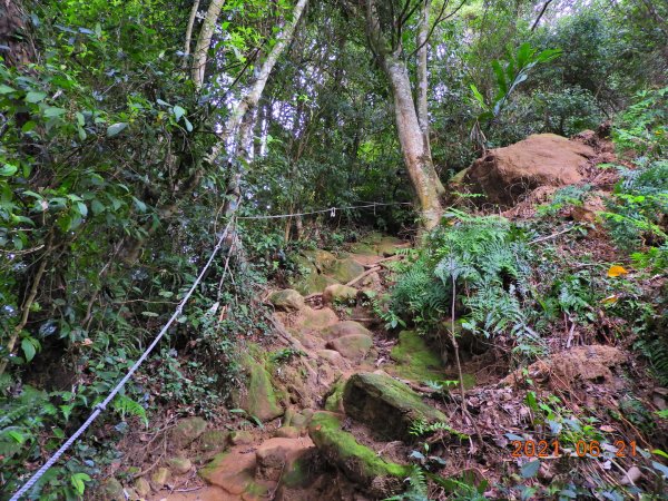 桃園 大溪 溪洲山1417940