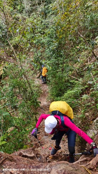 114.11.28-29 雙龍林道~巒安堂~西巒大山2954855