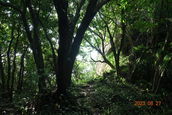 基隆 安樂 大武崙山、三角嶺頭山2268059