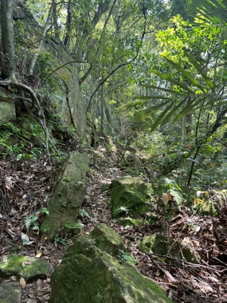 20250502 安坑七山2775110