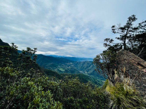 內鳥嘴山賞山毛櫸1532971