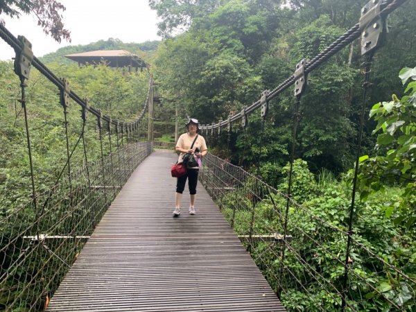 阿里山迷糊步道1028981