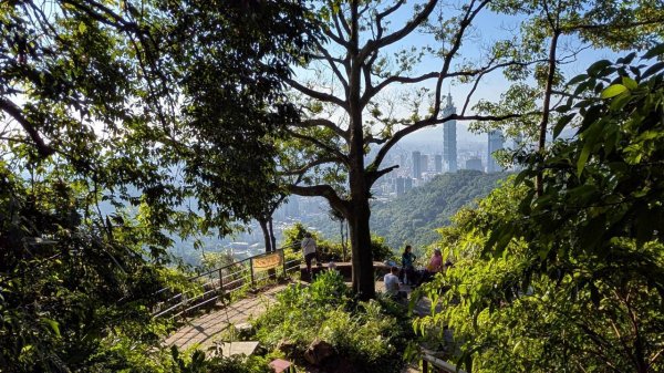 南港山步道3122063