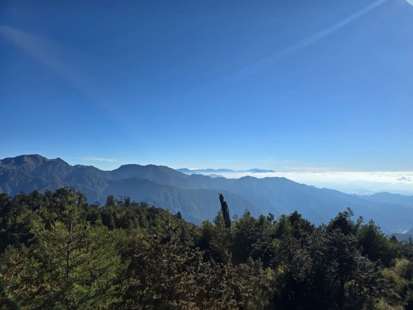 大雪山國家森林遊樂區賞楓／看神木／賞雪白山頭／賞大景2974276