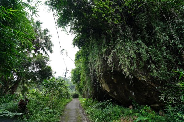 臺北 南港 南港山、拇指山、象、獅、豹、虎、四分里山、茅草埔山2803414