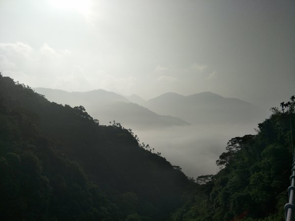 2019 01 09 獨立山國家步道501570