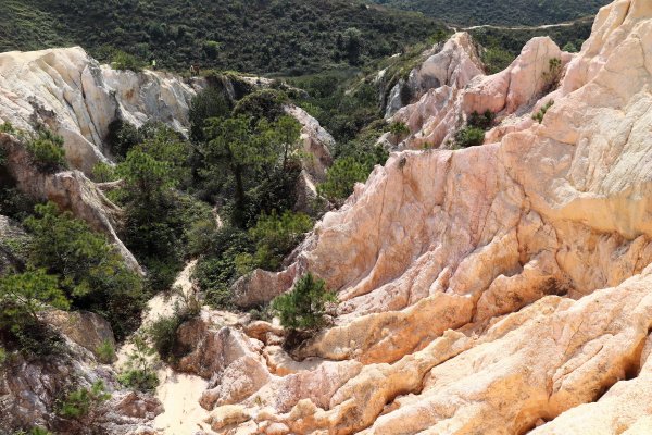HK - 青山復地1482573