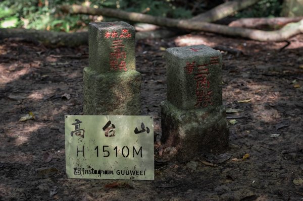 高島縱走・一訪 | 五星級包場野營，被滿滿的杉木包圍