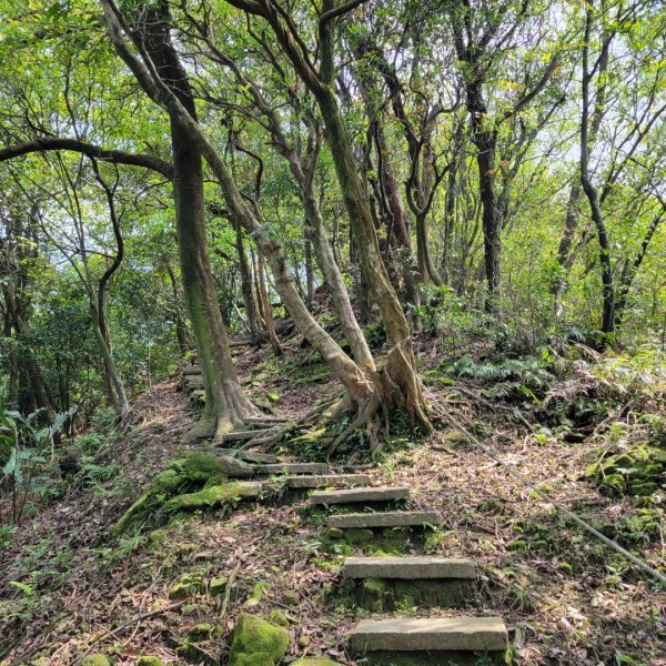 碇內尖景觀砲台步道2092660